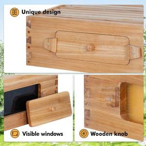 Nouveau kit de démarrage <span class=keywords><strong>pour</strong></span> ruche à 8 cadres Pomelo, revêtement en cire d'abeille, en <span class=keywords><strong>sapin</strong></span> de Chine, type Langstroth, équipement apicole, fenêtres, élevage animal - Product Image 5