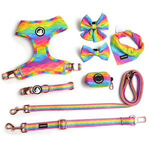 Migliore moda Custom arcobaleno Logo colorato modello poliestere di lusso Pet cane collo papillon per collare - Product Image 5