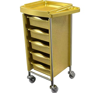 Beauty and Hairdressing <b>Tool</b> Cart Hair Salon Handcart Hairdressing <b>Tool</b> Cart Hot Stamping and Dyeing Beauty Delivery Car - Product Image 2