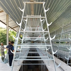 Thép Mới A & H Loại Pin Tự Động Lồng Gà Để Sử Dụng Nhà & Gà Trang Trại Trứng Lồng Lồng Gà Cho Nhà Gà - Product Image 6