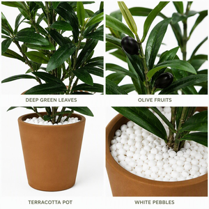 <span class=keywords><strong>Olivier</strong></span> artificiel réaliste <span class=keywords><strong>en</strong></span> <span class=keywords><strong>pot</strong></span> avec fruits, plante d'<span class=keywords><strong>olivier</strong></span> artificielle pour décoration intérieure de villa et d'hôtel - Product Image 4