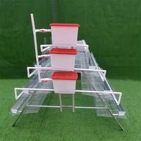 Cage de pondeuses 1000 poulets ferme avicole batterie Cages pour volaille poulet pondeuse poule oeuf un Type couche poulet cage élevage