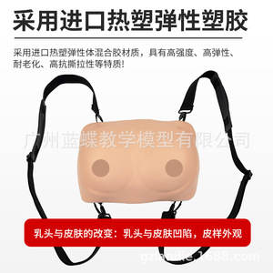 Modelo portátil para entrenamiento y examen de senos; práctica didáctica sobre patología mamaria femenina; modelo para autoexamen y cuidado. - Product Image 3