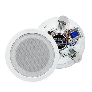 Leverancier Speaker Economische Ijzeren Plafond Luidspreker TS-302 10W 5Inch Voor Home Theater Hotel Winkel