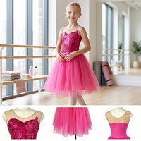 Robe de tutu de ballet sans manches rouge rosé avec corsage floral à sequins, col en maille et jupe en tulle multicouche pour la danse lyrique et scénique