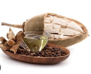 Huile de Baobab Multi-Qualités Pressée à Froid, Qualité Cosmétique et Alimentaire, 100% Huile de Graine de Baobab, Huile Végétale Naturelle, Approvisionnement en Gros - Product Image 3