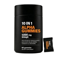 Health Nova Chine Fabricant Usine Vente en Gros Directe Expédition Rapide 4000mg Gommes de Shilajit Pur de l'Himalaya avec Ashwagandha