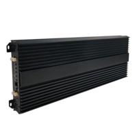 Amplifier Mobil Monoblock 5000W Kelas SPL Kompetisi Tipe D Saluran Tunggal Daya Tinggi untuk Subwoofer Audio Mobil