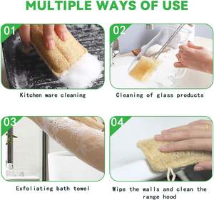 Esponjas para lavar platos naturales sin residuos, estropajo ecológico biodegradable, <span class=keywords><strong>planta</strong></span> <span class=keywords><strong>de</strong></span> lufa Natural para Cocina - Product Image 2