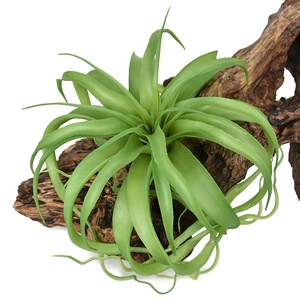 Grande plante artificielle Tillandsia Xerographica multicolore pour décoration de table tropicale sur bois flotté style bohème - Product Image 6