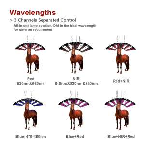 Leds Colgando Mascotas Caballos Equipo Equino 660nm 850nm Led Luz Roja Cerca de Infrarrojo Terapia de Mascotas para Panel de Caballo - Product Image 6