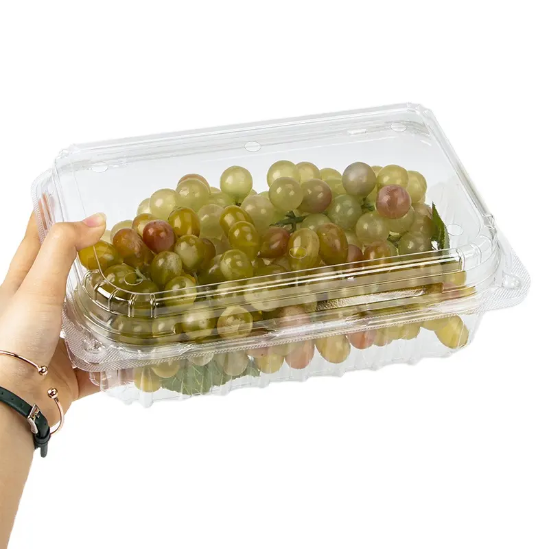 Дешевая цена и одноразовый блистерный прозрачный пластиковый раскладушка для домашних животных для овощей, фруктов, морепродуктов, мяса птицы