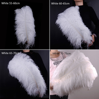 Plumes d'autruche blanches en gros de 15-75 cm pour la décoration de fêtes, mariages, carnavals, festivals, et les projets DIY d'artisanat (Plumes d'autruche)