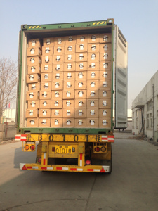 Mosquitera para Ventana de Tamaño <span class=keywords><strong>Fijo</strong></span>, Fabricada en China - Product Image 6