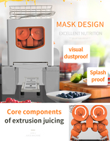 Automatische Professionele Sinaasappelsapcentrifuge-Machine Voor Fruit En Groente
