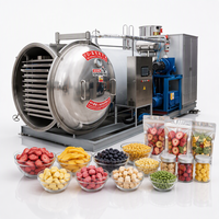 Machine de lyophilisation par congélation sous vide pour fraises, mangues, bananes, framboises, bleuets, légumes, viandes, fruits de mer, café