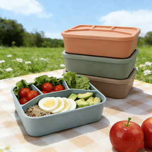 Silicone Compartmentalized Lunch Box With Lid Rectangle 4-Compartment Bento Box For Camping <b>Refrigerator</b> Microwave Safe - Product Image 1