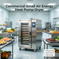 Commerciële kleine lucht-energie warmtepompdroger voor fruit, groenten en landbouwproducten, voedseldroogmachine Realdot SUS304