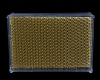 Apiculture 250g 500g Boîte en nid d'abeille transparente Récipient de miel pour Cassette de miel en plastique