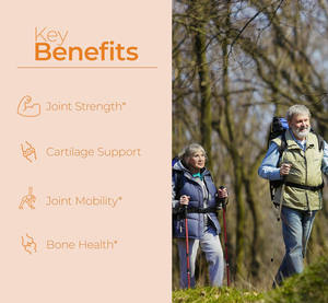 Üretici en iyi eklem takviyesi kondroitin sülfat MSM takviyesi zerdeçal hapları Organ glukozamin kondroitin kapsüller - Product Image 4