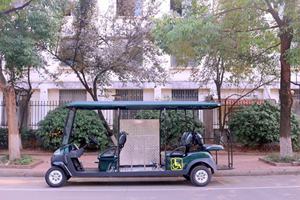 Voiturettes de golf électriques bon marché avec rampe Mini Jeep pour handicapés utilitaire scooter Buggy batterie au plomb-acide au lithium - Product Image 2