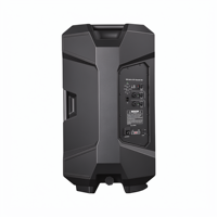 Enceinte active Renovo-151DSP 15 pouces 300W RMS Classe D, aimant ferrite 50OZ, tweeter titane 34mm, audio professionnel pour sonorisation live