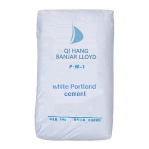 Mortero de Cemento Aluminado Blanco Impermeable para Reparaciones Interiores y Exteriores, Baños, Cocinas y Exteriores - Product Image 1