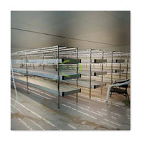 Offre Spéciale 3 couches Racks Banc roulant avec panneaux ABS Système hydroponique Système de culture microgreen à effet de serre Rack de culture vertical
