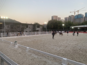 Chuyên nghiệp chinajumps bền HDPE/PVC dressage Arena hàng rào với các tùy chọn thiết kế tùy chỉnh đáp ứng tiêu chuẩn bố trí - Product Image 6