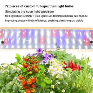 Système de culture hydroponique durable avec éclairage LED optimisé pour les cultures rapides et les micro-légumes <span class=keywords><strong>en</strong></span> agriculture intérieure - Product Image 2