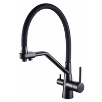 Robinet de cuisine moderne à double poignée en laiton, mitigeur chaud/froid avec filtre, finition brossée, robinet en céramique