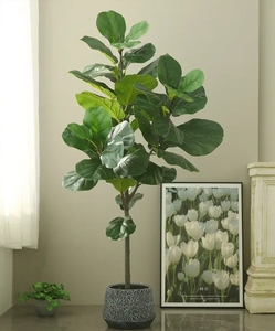 Albero di Ficus Lyrata Artificiale di Alta Qualità in Plastica, 120-180CM, Altamente Realistico, Resistente ai Raggi UV, Ecologico, per Decorazioni Interne ed Esterne - Product Image 3