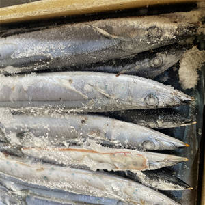 Poisson congelé Deep-sea Pacific Saury Cololabis Saria à bas <span class=keywords><strong>prix</strong></span> pour la cuisine japonaise - Product Image 1