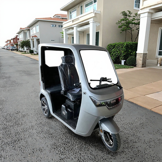 Electric Tricycle Household Three Wheel Electric Car Adult Electric Scooter Three Wheel with EEC for Adult