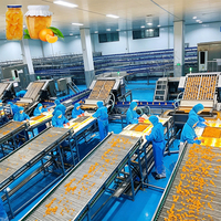 ENAK Automatische productielijn voor blikken, flessen en ingeblikte voedingsmiddelen (sinaasappelen, mandarijnen)