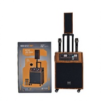 NDR-Q212 Enceinte de sonorisation en ligne de 12 pouces en bois avec Bluetooth et 2 micros, haut-parleur PA avec DSP pour événements scéniques et fêtes