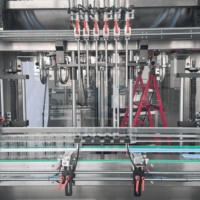 Machine automatique de remplissage et de bouchage de boissons gazeuses 20-48 BPM, ligne de remplissage de bouteilles en verre avec capsuleuse à couronne