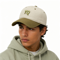 Gorra de Béisbol Vintage con Bloques de Color y Diseño de Frutas, Logotipo Bordado en 3D Personalizado, 6 Paneles, Algodón Jersey Transpirable, Ajustable, para Actividades al Aire Libre y Carreras