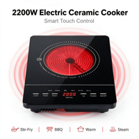 Cuisinière à induction électrique portable à brûleur unique 2200W avec fonction Hotpot pour hôtels et usage domestique, boîtier en plastique – Vente chaude