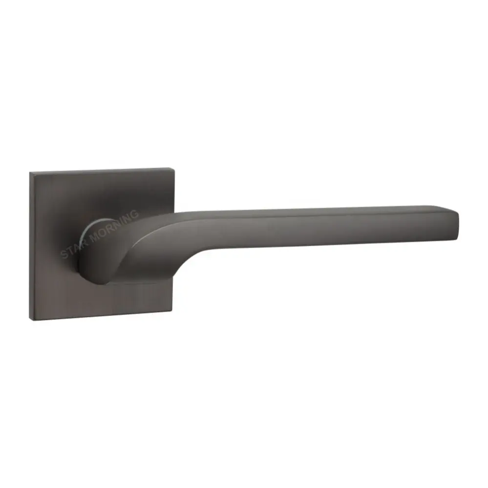 Matt Brushed Texture Popular Door Lever Handles on Rose in Graphite Residential and Commercial Projects A Flame EN GR