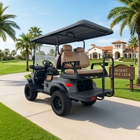 Carrito de Golf Eléctrico Elevado de 4 Plazas, Marca Tarion, Fabricante Chino, Logotipo Personalizado, Color Personalizado, Velocidad Máxima de 35 KM/H, Libre de Mantenimiento, Batería Coloidal de 60V