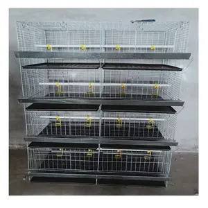 Durable jaula de alambre de 4 capas bebé chica pollo jaula para venta HJ-YC320