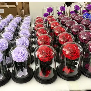 Proveedor de rosas preservadas eternas de larga duración, rosas eternas, precio preservado, Rosa eterna, flor preservada en cúpula de cristal