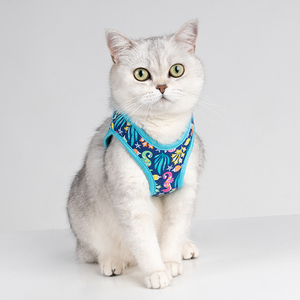 Truelove vente en gros harnais pour chien sans traction respirant réglable confortable Air Mesh harnais pour animaux de compagnie Nylon mode doux chat chien harnais - Product Image 3