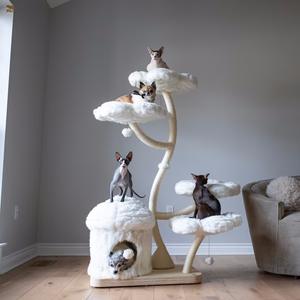Menara Pohon Kucing Mewah Modern Ramah Lingkungan untuk Kucing <span class=keywords><strong>Maine</strong></span> <span class=keywords><strong>Coon</strong></span> Besar, Bingkai Panjat Kayu Solid, Penggaruk Sisal 160cm - Product Image 4