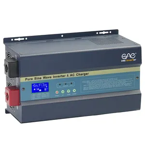 AC DC Inverter Offgrid Pure Sine Wave Power Inverter 1000W to 6000W Inverters & Converters 1kw