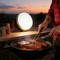 Lampe de barbecue rechargeable portable à LED pour la cuisine en plein air, le camping et l'utilisation nocturne