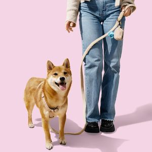 Fabricants de harnais pour animaux de compagnie, vente en gros, harnais pour chien en sherpa sur mesure, harnais pour chien d'hiver - Product Image 2