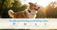 Collier intelligent pour chien Qcool avec moniteur de fréquence cardiaque, appels vocaux, vibrations, entraînement, étanche IP68, longue durée de vie de la batterie, anti-perte, sécurité des animaux