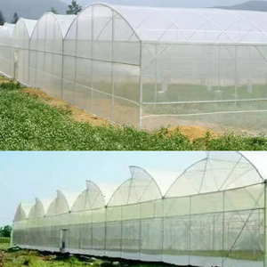 Chi phí thấp Nông Nghiệp Nhà kính côn trùng kháng Net Rau côn trùng kháng Net - Product Image 6